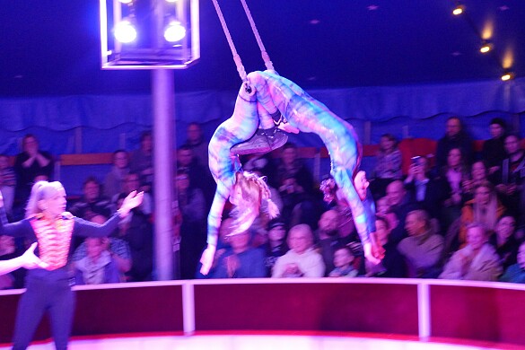 2 Schülerinnen hängen kopfüber am Trapez