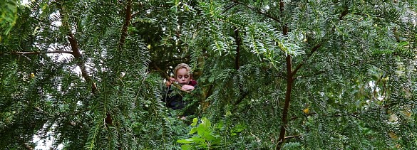Ein Junge sitzt auf einem Baum auf unserer Parzelle.