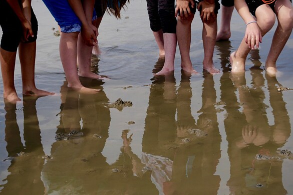Schülerinnen und Schüler stehen mit ihren Füßen im Watt