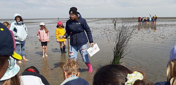 Kinder sind mit Gummistiefeln oder barfuß im Watt, sie werden von einer Wattführerin geführt.